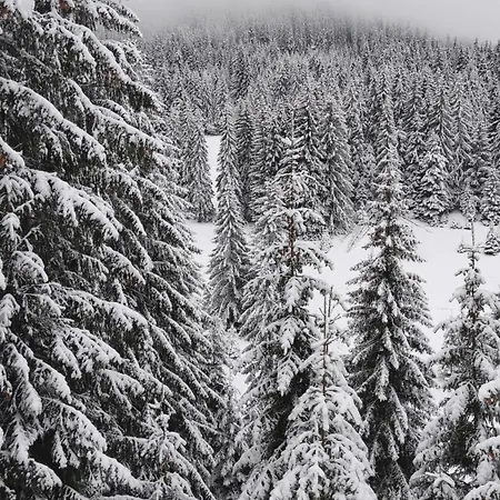 Appartamento Sun Stream