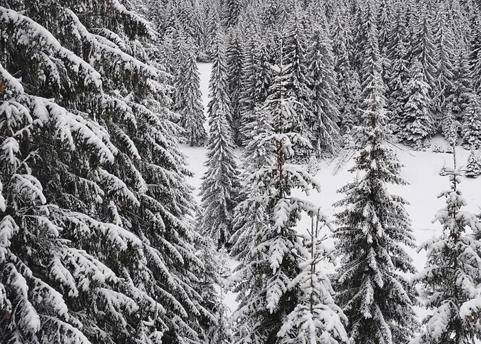 Appartamento Sun Stream